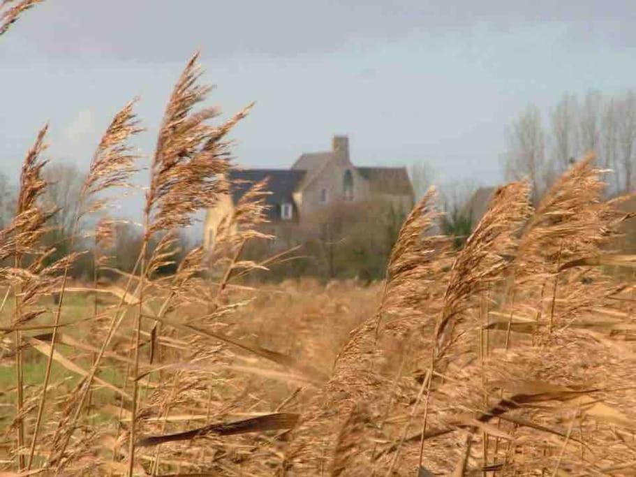 فيلا Le Chateau De Neuilly La Foret إيزيغني سور مير المظهر الخارجي الصورة